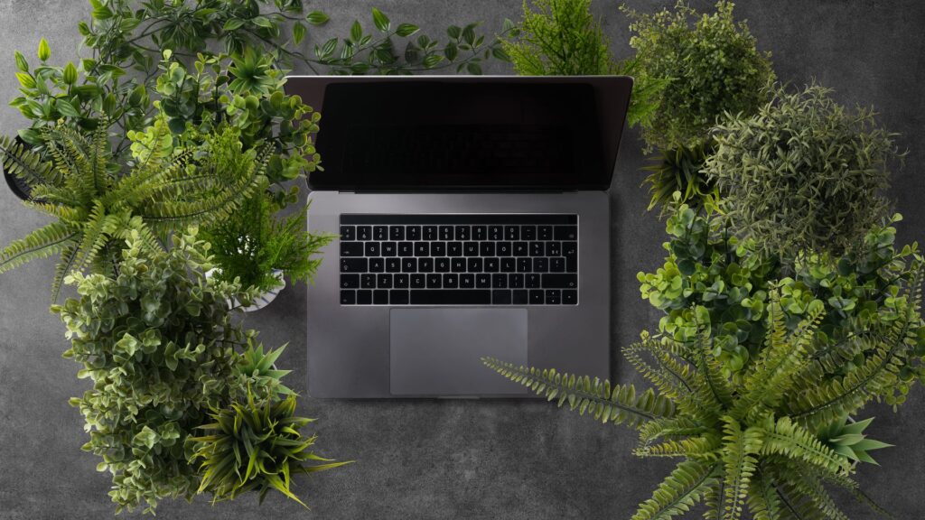 Sustainable Web Design: Why a Green Website Is a Fast Website